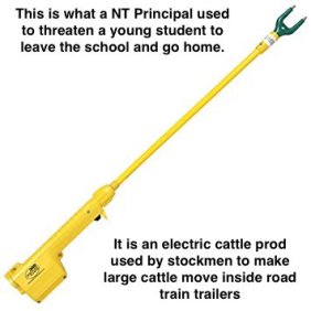 A cattle prod